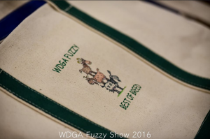 2016FuzzyShow4