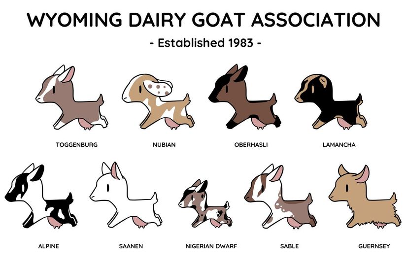 Wyoming Dairy Goat Association